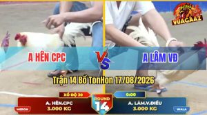 Trận 14 Tonhon 17/08/2026 – Anh Hên CPC Đánh Bại Anh Lâm Dễ Dàng