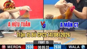 Trận 15 CPC2 Ngày 14/8/2026 Trên Vua Gà AZ