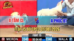 Trận 15 CPC2 Ngày 1/8/2026 Tại Vua Gà AZ