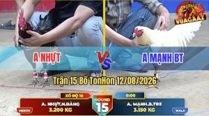 Trận 15 Tonhon 12/08/2026 – Anh Nhựt Đá Anh Kiểm Cà Mau Lật Xe