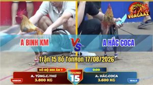 Trận 15 Tonhon 17/08/2026 – Gà Cú Anh Binh Canh Chặn Khôn Như Người