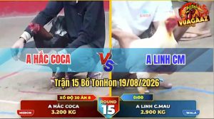 Trận 15 Tonhon 19/08/2026 – Anh Hắc Coca Thất Thủ Trước Anh Linh CM