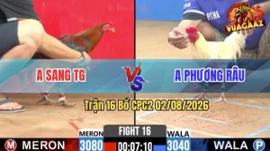 Trận 16 CPC2 02/08/2026 – Gà Úa Anh Phương Râu Lụm Trong 1 Tay Nước