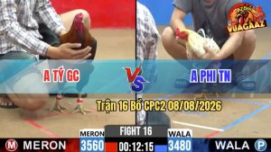 Trận 16 CPC2 08/08/2026 – Gà Bướm Anh Phi Bươi Chà Như Cái Máy