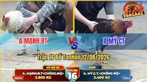 Trận 16 Tonhon 12/08/2026 – 2 Con Chồng Độ Gặp Nhạu, Quá Hấp Dẫn