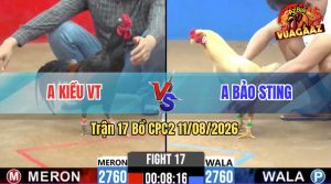 Trận 17 CPC2 11/08/2026 – Anh Bảo Sting Bị Anh Kiều Chấm Dứt Chuỗi