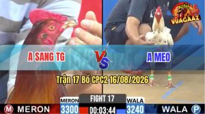 Trận 17 CPC2 16/08/2026 – Anh Meo Đá Tay Nước Đầu Tiên Đã Lụm Gọn