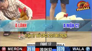 Trận 17 CPC2 22/08/2026 – Gà Úa Anh Mận Đâm Toàn Cựa Hiểm Hóc