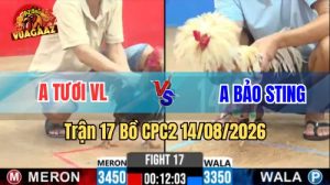 Trận 17 CPC2 Ngày 14/8/2026 Trên Vua Gà AZ