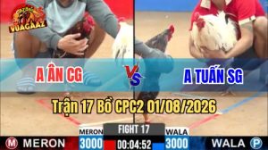 Trận 17 CPC2 Ngày 1/8/2026 Tại Vua Gà AZ