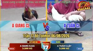 Trận 17 TonHon 06/08/2026 – Gà Úa Anh Tuấn CL Siết Trong 1 Tay Nước