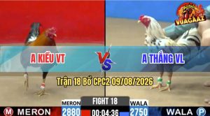 Trận 18 CPC2 09/08/2026 – Anh Kiểm Cà Mau Gặp Đối Thủ Cứng Cựa
