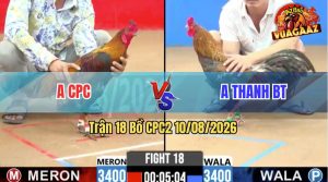 Trận 18 CPC2 10/08/2026 – Anh Thanh Dí Bạc Ăn 5 Mà Bất Ngờ Bỏ Chạy