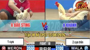 Trận 18 CPC2 12/08/2026 – Anh Bảo Sting Động Độ Với Anh Khanh