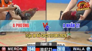 Trận 18 CPC2 17/08/2026 – Gà Anh Nhẫn Cứ Nhấc Chân Là Dính Cựa