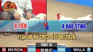 Trận 18 CPC2 Ngày 7/8/2026 Vua Gà AZ