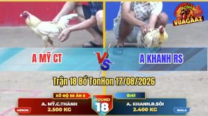 Trận 18 Tonhon 17/08/2026 – Anh Mỹ Đánh Bại Anh Khanh Nhanh Gọn