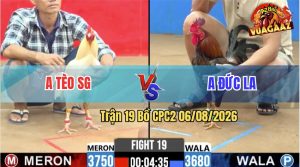 Trận 19 CPC2 06/08/2026 – Anh Tèo SG Đưa Gà Cọp Vào Đá Ăn Gọn
