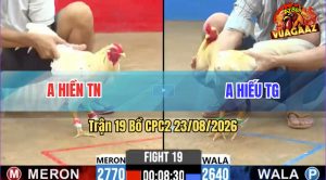 Trận 19 CPC2 23/08/2026 – Anh Hiếu Tung Đòn Cựa Quá Chí Mạng