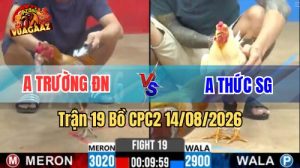 Trận 19 CPC2 Ngày 14/8/2026 Trên Vua Gà AZ