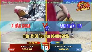 Trận 19 TonHon 06/08/2026 – Anh Hắc Coca Độ Sức Cùng Anh Nguyên CM