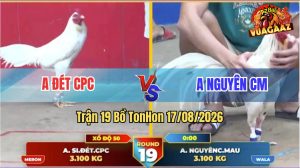 Trận 19 Tonhon 17/08/2026 – Anh Đét CPC Hạ Anh Nguyên Chưa Tới 3 Cước