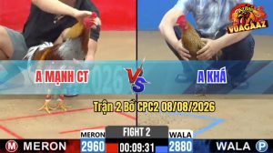 Trận 2 CPC2 08/08/2026 – Gà Xám Anh Mạnh Đá Toàn Đâm Mu Lưng
