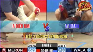 Trận 2 CPC2 09/08/2026 – Anh Thanh Đá Anh Điền Không Đường Phản