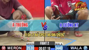 Trận 2 CPC2 18/08/2026 – Anh Cường Hạ Anh Trưởng Trong Vất Vả