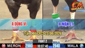 Trận 2 CPC2 23/08/2026 – 2 Con Chiến Kê Bươi Chà Như Cái Máy