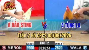 Trận 2 CPC2 Ngày 5/8/2026 Vua Gà AZ