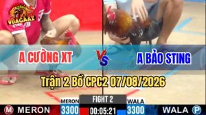 Trận 2 CPC2 Ngày 7/8/2026 Vua Gà AZ