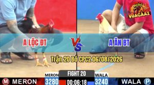 Trận 20 CPC2 06/08/2026 – Anh Ân BT Bị Dí Bạc Ăn 5 Mà Vẫn Lụm Ngược