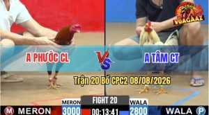 Trận 20 CPC2 08/08/2026 – Anh Tâm CT Bị Dí Bạc Ăn 5 Và Cái Kết