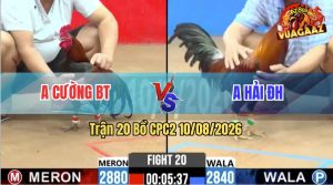 Trận 20 CPC2 10/08/2026 – Anh Hải Bạc Dưới Nhưng Đá Trên Như Con