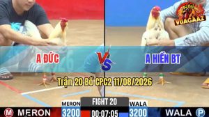 Trận 20 CPC2 11/08/2026 – Anh Hiền Đưa Gà Hiệu Và Đá Đâm Thấy Ớn Lạnh