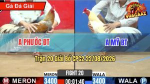 Trận 20 CPC2 22/08/2026 – Gà Cú Anh Phước Đá Đòn Như Lấy Cây Đập