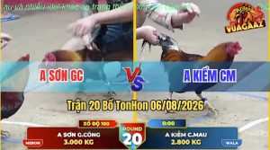 Trận 20 TonHon 06/08/2026 – Anh Kiểm Cà Mau Bị Anh Sơn GC Lụm Gọn