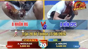Trận 20 Tonhon 17/08/2026 – Anh Nhân Đá Đòn Liên Hoàn Cước Hạ Anh Hên