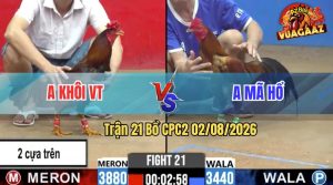 Trận 21 CPC2 02/08/2026 – Anh Khôi Chấp Anh Mã Hổ 2 Cây Cựa Trên