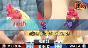 Trận 21 CPC2 06/08/2026 – Anh Lợi Hạ Anh Khoáy Trong Vòng 1 Nốt Nhạc