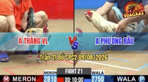 Trận 21 CPC2 09/08/2026 – Anh Phương Râu Chưa Gì Đã Bị Dí Bạc Ăn 5