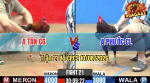 Trận 21 CPC2 10/08/2026 – Anh Tân CG Tiễn Anh Phước Lên Đường