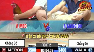 Trận 21 CPC2 20/08/2026 – Anh Mèo Gặp Anh Giang, 2 Con Gà Chồng Độ