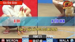 Trận 21 CPC2 22/08/2026 – Gà Của Bồ Đá Anh Tèo Đen Không Kịp Thở
