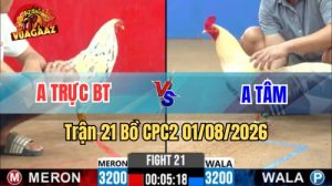 Trận 21 CPC2 Ngày 1/8/2026 Tại Vua Gà AZ