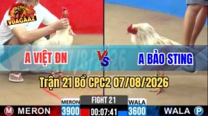 Trận 21 CPC2 Ngày 7/8/2026 Vua Gà AZ