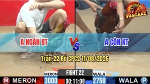 Trận 22 CPC2 11/08/2026 – Anh Còn Hạ Anh Ngàn Trong 1 Nốt Nhạc