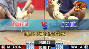 Trận 22 CPC2 17/08/2026 – Gà Anh Cu Lửa Khiến Đối Thủ Hoảng Sợ Bỏ Chạy