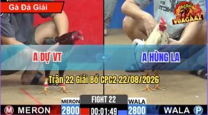 Trận 22 CPC2 22/08/2026 – Anh Dự Tung Gà Hiệu Vào Đá Cái Bo Khủng